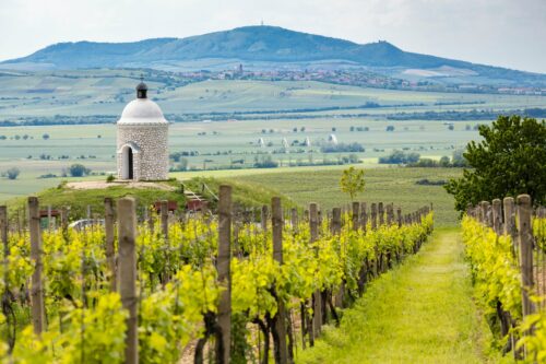 Location SuperRally 2024