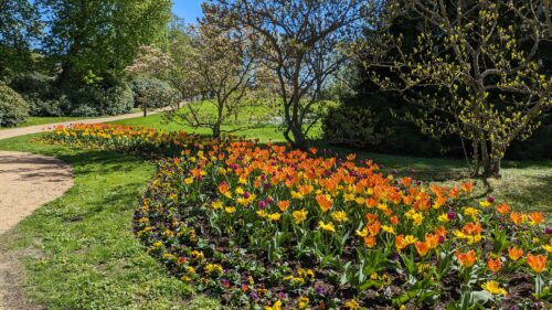 Bild 7 Ronneby Brunnspark